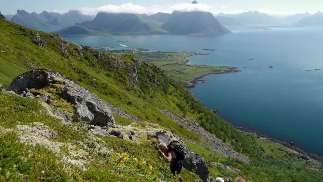 Fjelltur Stigkollen 707 moh - (Øksnes / Skogsøya) - 2012.07.29