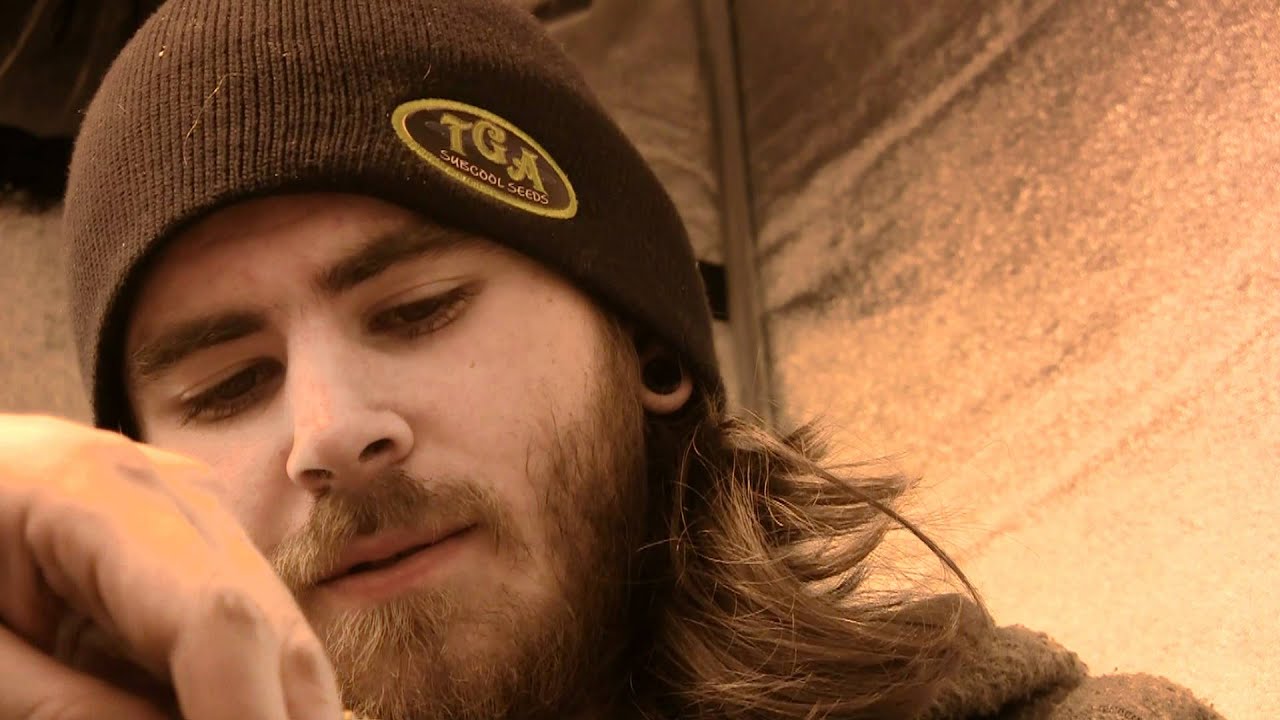 CannabisCureTV: Manicuring S.A.G.E In The Grow Tent