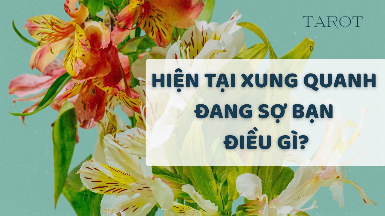 HIỆN TẠI XUNG QUANH ĐANG SỢ BẠN ĐIỀU GÌ?
