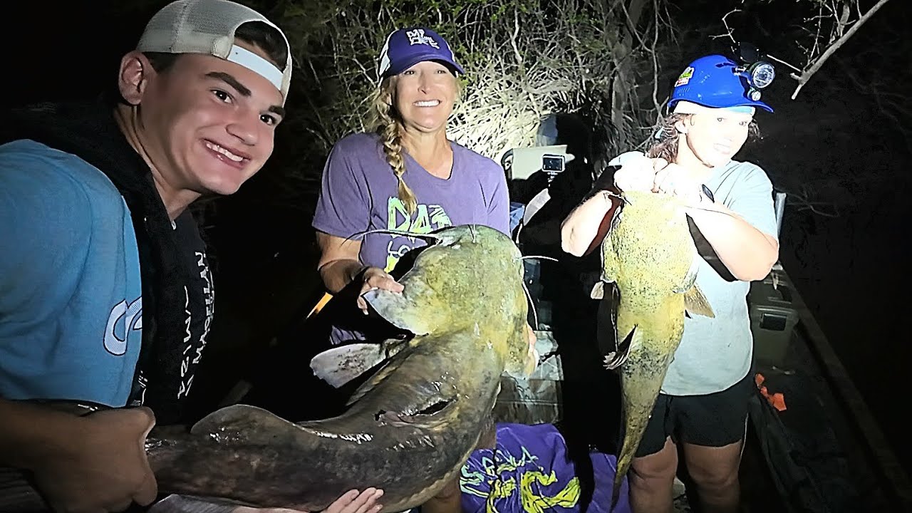 LIVE BAIT to Catch Monster Flathead Catfish Using Bank Poles and Limb Lines!