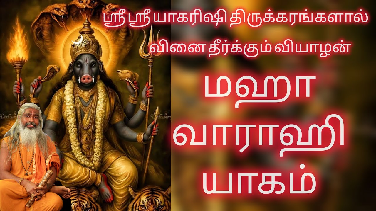 வினை தீர்க்கும் வியாழன் மஹா வாராஹி யாகம் த்ரீசக்தி வாராஹி பீடம்.
