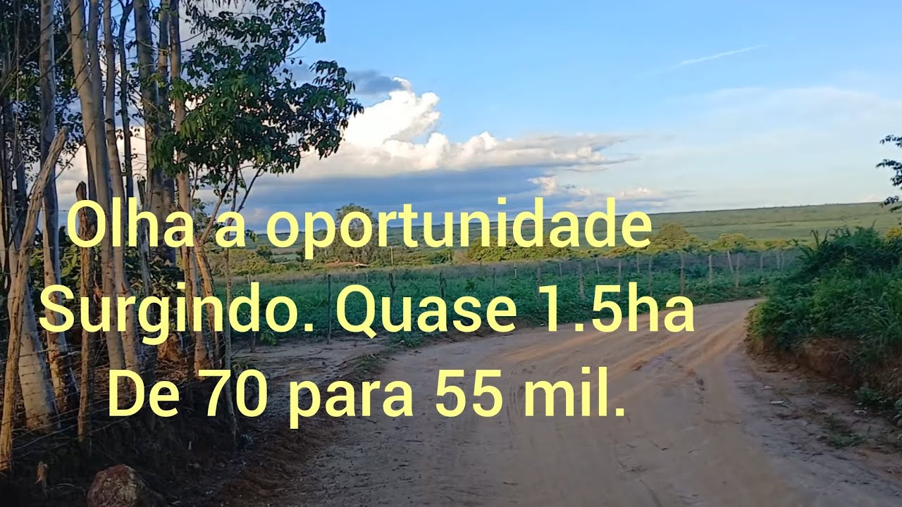 São 3 casas, 2 reservatorio, muitas frutíferas, 700m da pista, açude de frente, e muito mais.