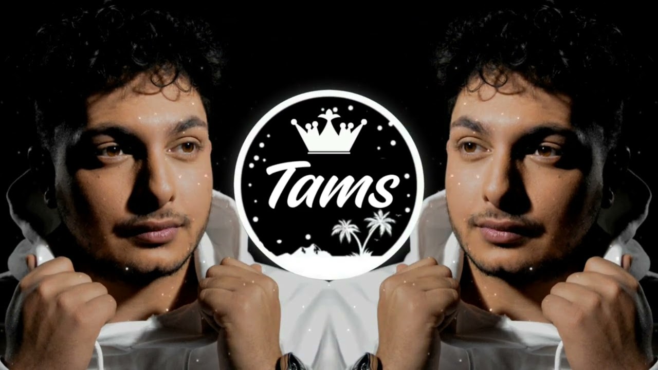 BERRY - ELDÚDOLNÁM (Tams REMIX)