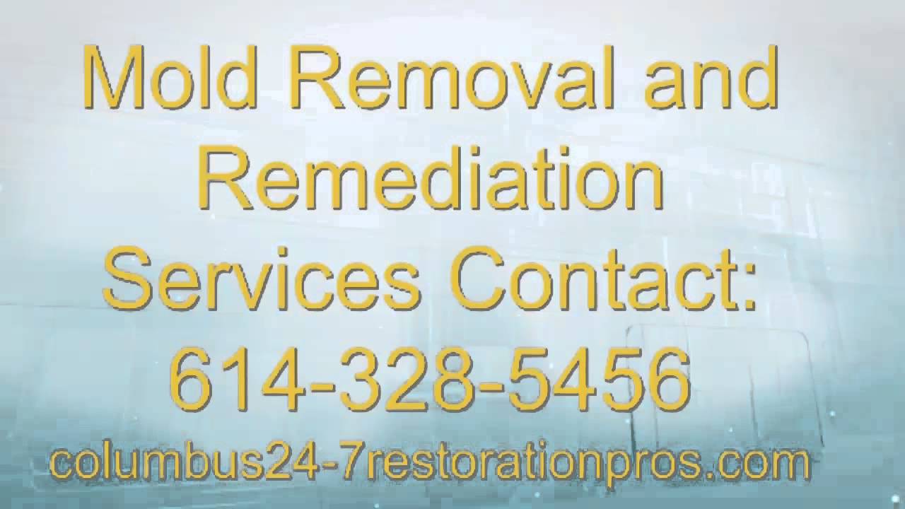 Columbus OH Mold Removal and Mold Remediation Restoration Experts