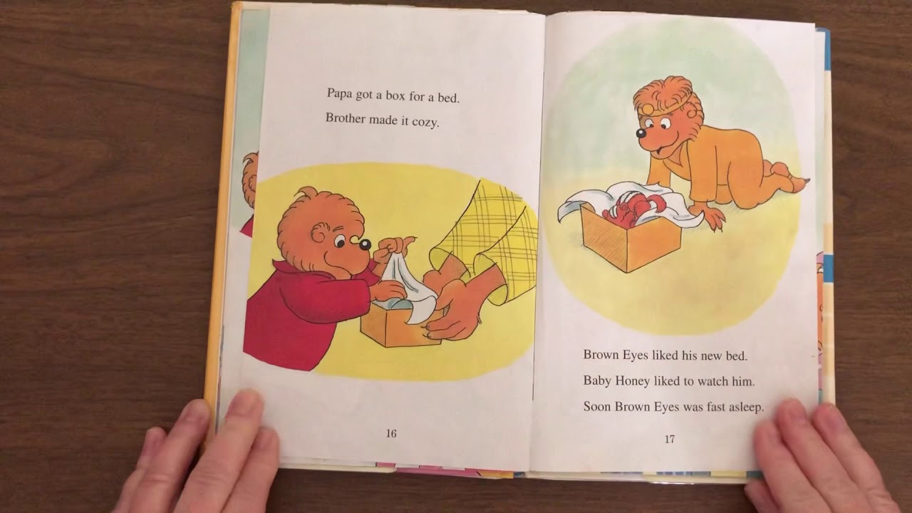 The Berenstain Bears and the Baby Chipmunk