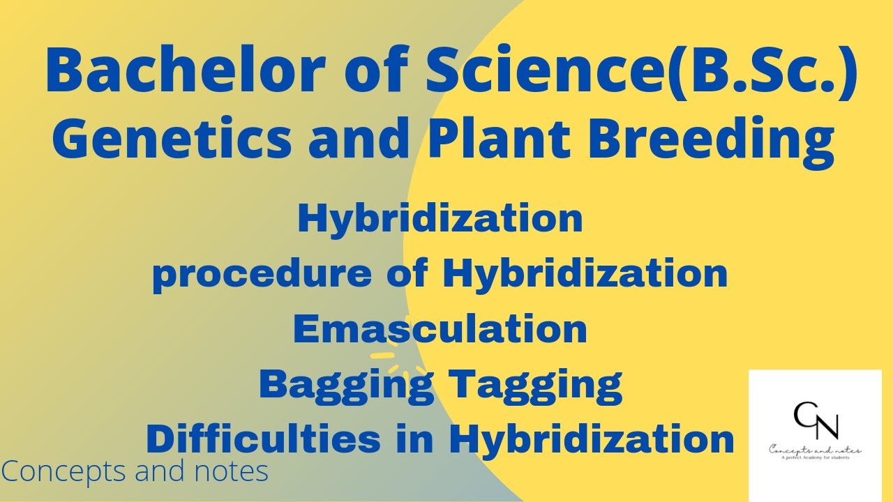 Hybridization || It's Procedure || Emasculation || Bagging | Tagging | Difficulties in Hybridization