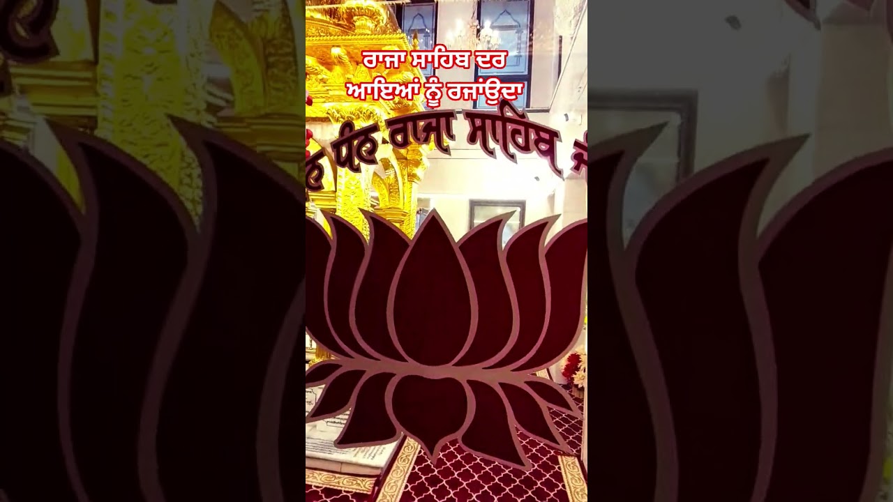 ਰਾਜਾ ਸਾਹਿਬ ਦਰ ਆਇਆਂ ਨੂੰ ਰਜਾਂਉਦਾ #shorts #jai #rajasaab @advlpgsamandeepsingh380