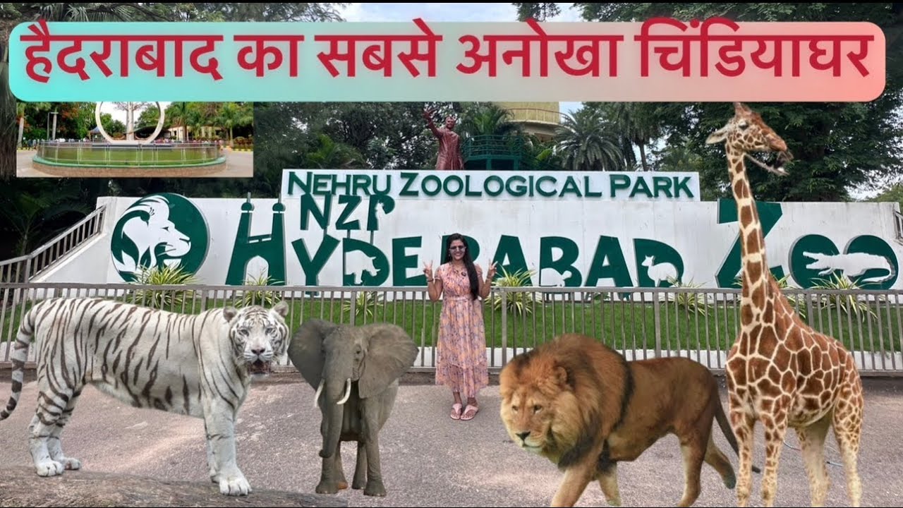 Nehru Zoological Park in hydrabad  | all animal hydrabad| #zoo #animals #tigres #park #hydrabad#bts 