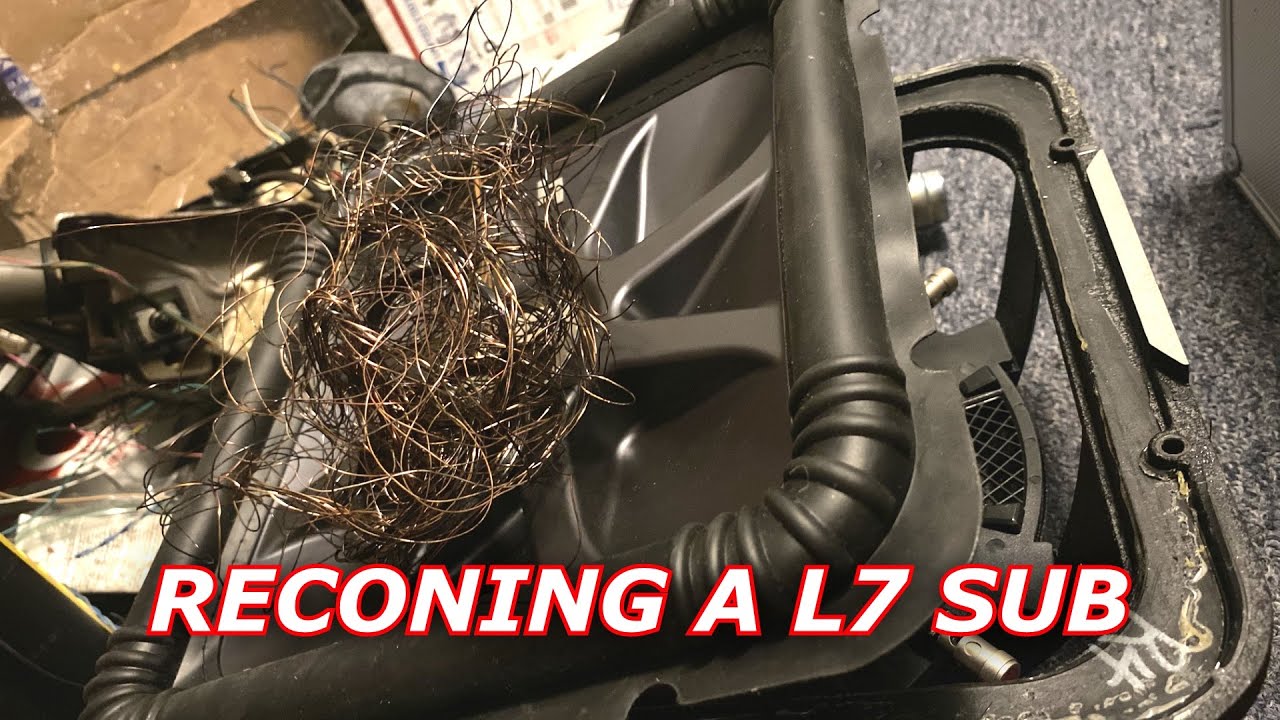 RECONING MY SOLO BARIC L7 SUB