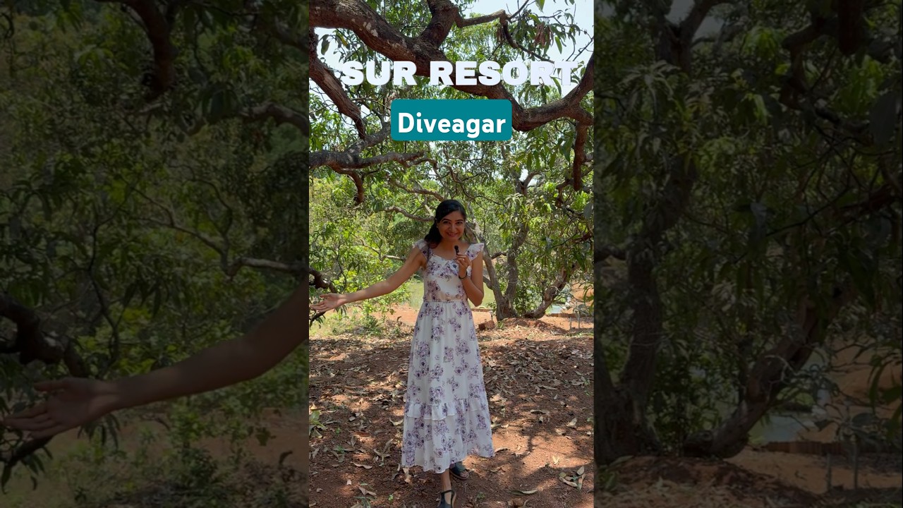 📍Best resort in Diveagar🏖️- Sur Resort Maharashtra #diveagar #diveagarbeach #maharashtra #ytshorts