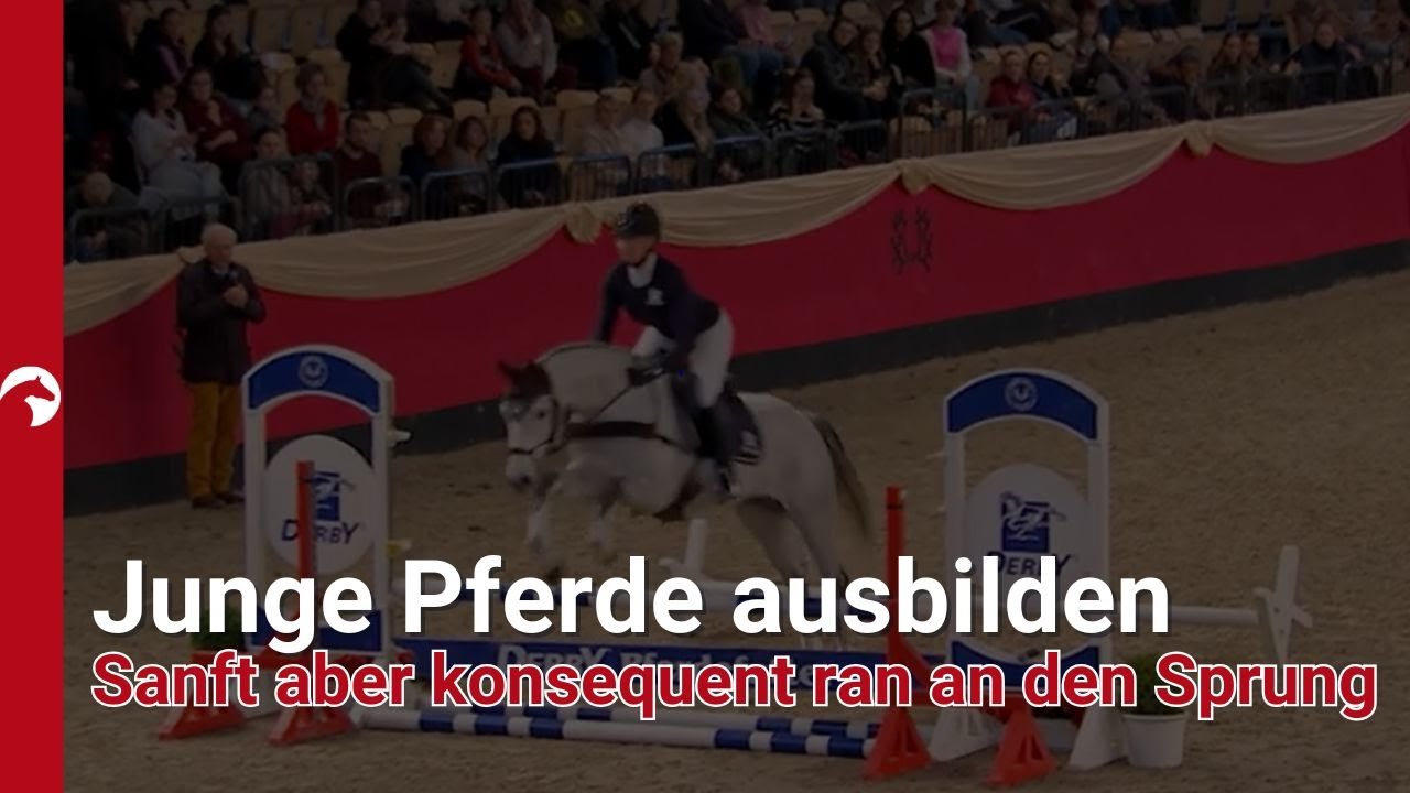 Junge Pferde ausbilden - Sanft aber konsequent ran an den Sprung🐎