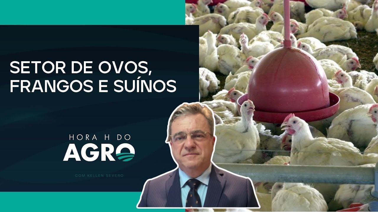 Associação apresenta balanço de 2025 e projeções para 2026 do setor de proteína animal