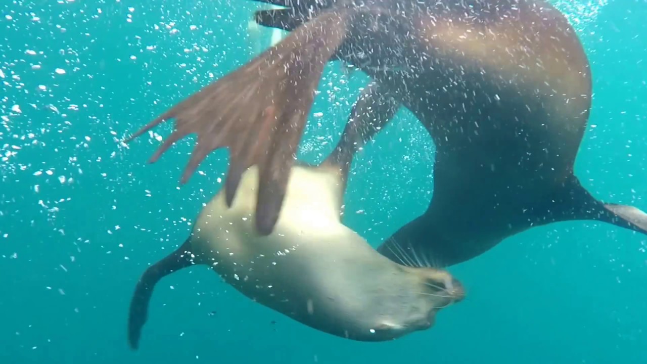 Ecuador & Gal&aacute;pagos 2016