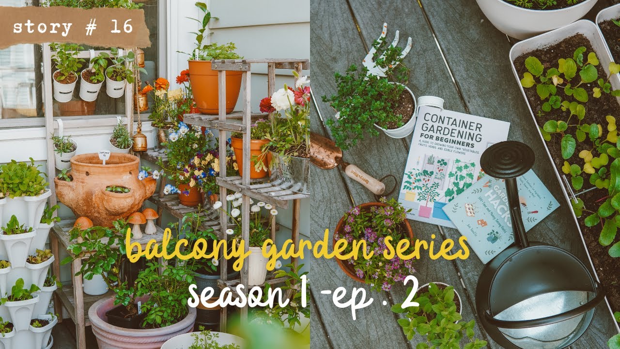 👩🏻‍🌾Growing a VEGETABLE GARDEN on a SMALL BALCONY | Transplanting,DIY Trellis & Raised Bed S1 PART 2