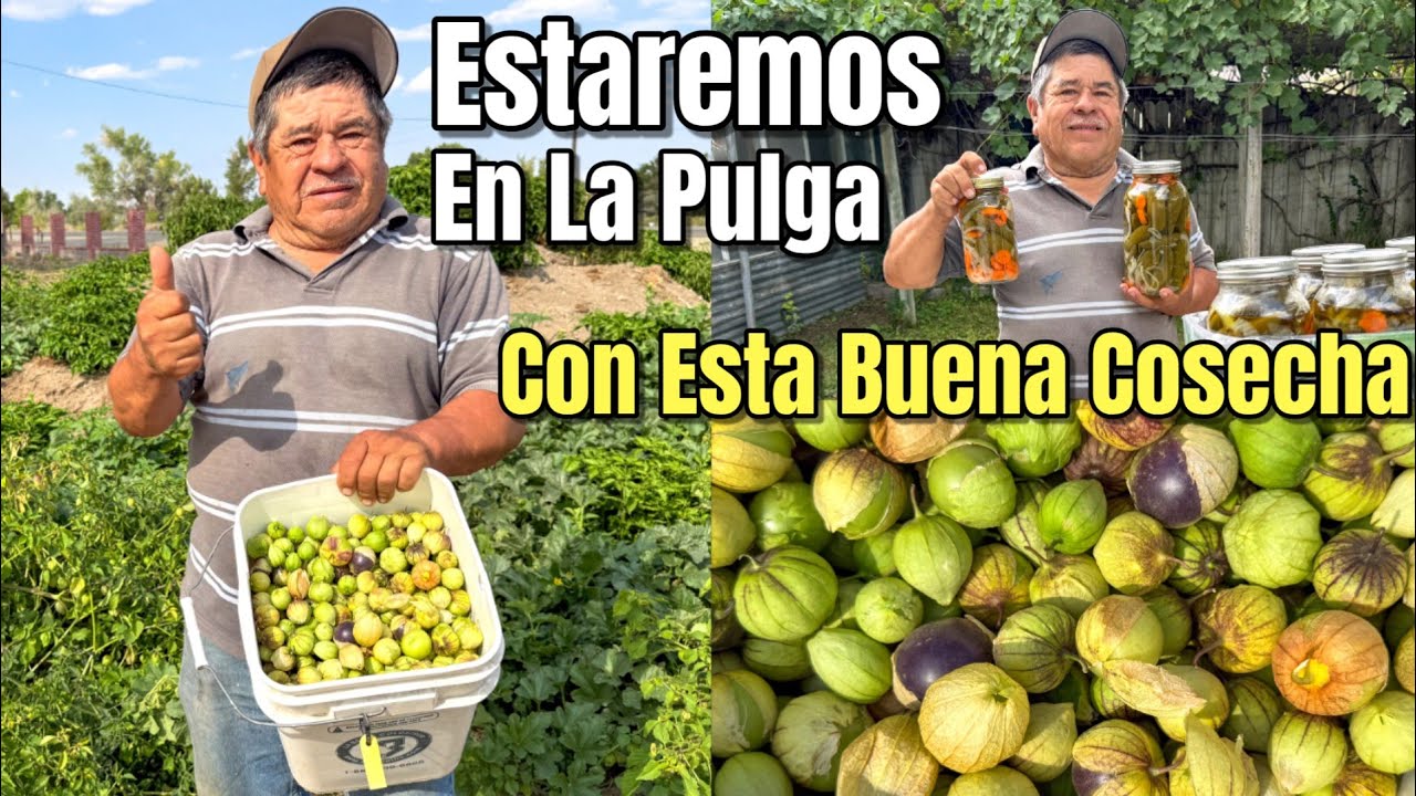 Don Chori Estara En La Pulga De Reno Este 31 De Agosto 2025 Alli Los Esperamos!