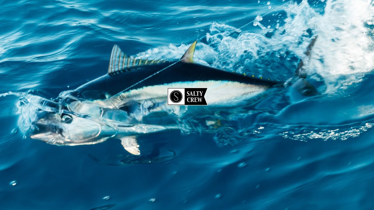 Pinnacle Outerwear || Salty Crew