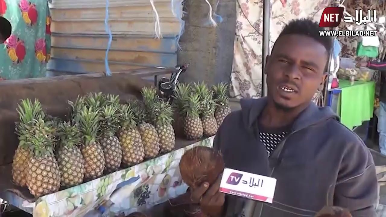 الأناناس"، "المانجو" و"جوز الهند".. فواكه من الساحل الافريقي تغزو أسواق تمنراست"