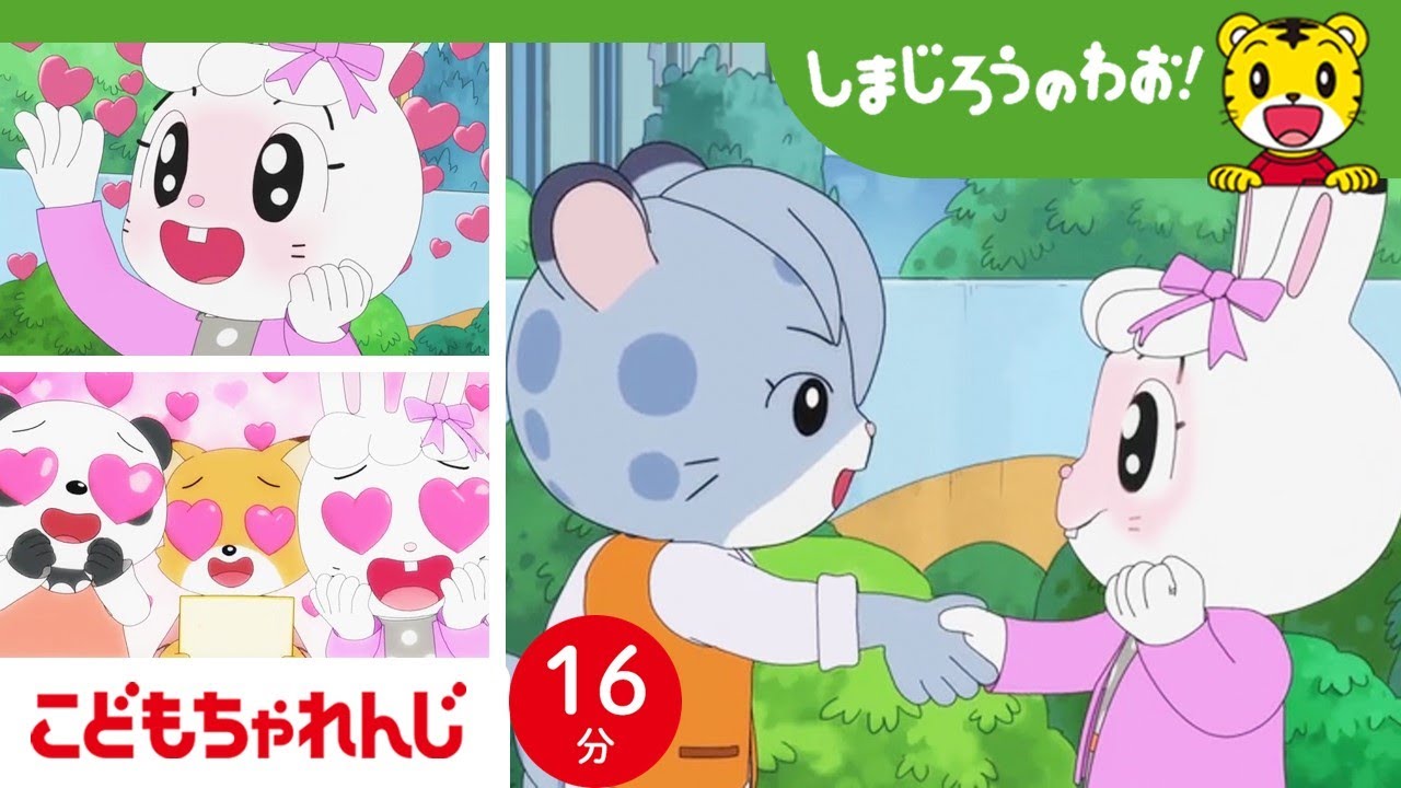 【16分アニメ】みみりんの推し、たまさぶろうくん✨ 人気者も大変だね💦 | しまじろうのわお！アニメ | しまじろうチャンネル公式