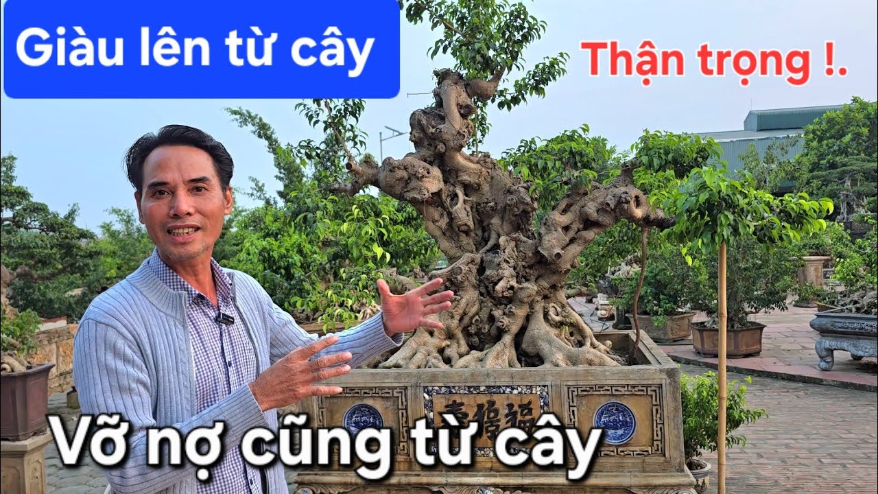 Anh Chí chia sẻ kinh nghiệm thực tế .Kiếm tiền bằng tư duy và tay nghề 
