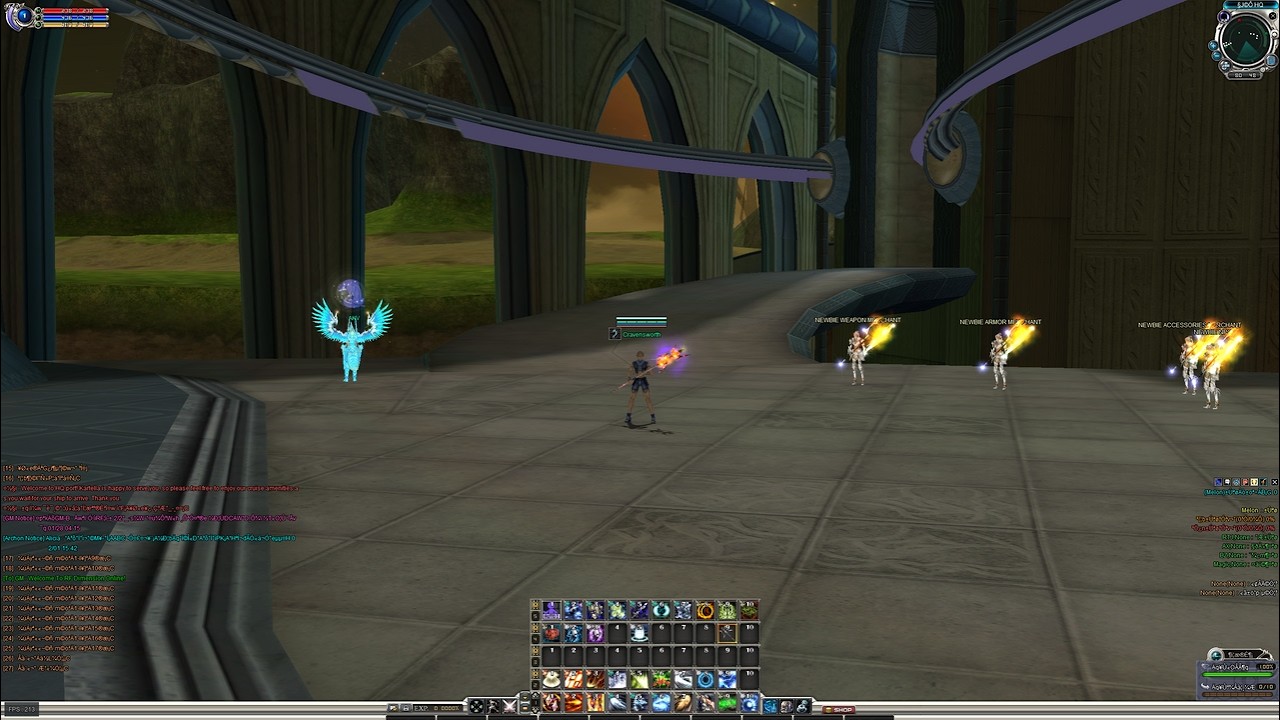 RF Online Dimension - LVL 80 Cap -  English Patch - China server- All CCR items + some costum