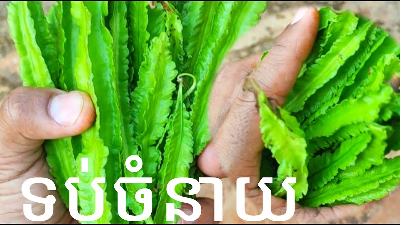 ទប់ចំនាយតិចនៅក្មុងគ្រួសារ