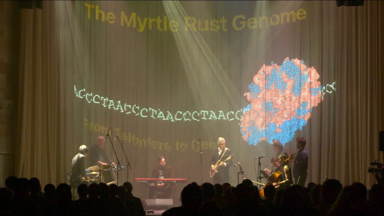Live: Music made to accompany the Myrtle Rust genome