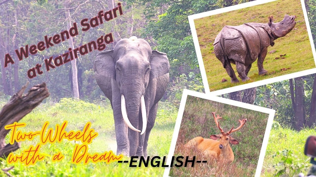 Safari bound!  Kaziranga calling !