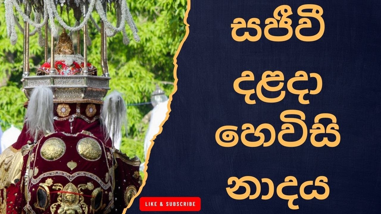දළදා මාලිගාවේ උදෑසන හෙවිසි නාදය – Peaceful Buddhist Drums Traditional Hewisi Drumming at Sri