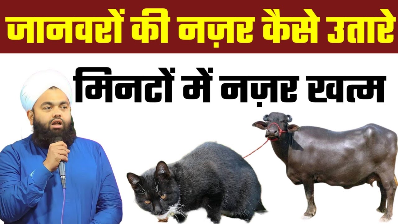 janvaron ki Nazar utarane Ka Tarika|| janvaron ki Nazar Kaise utare|| Nazar Ki Dua//