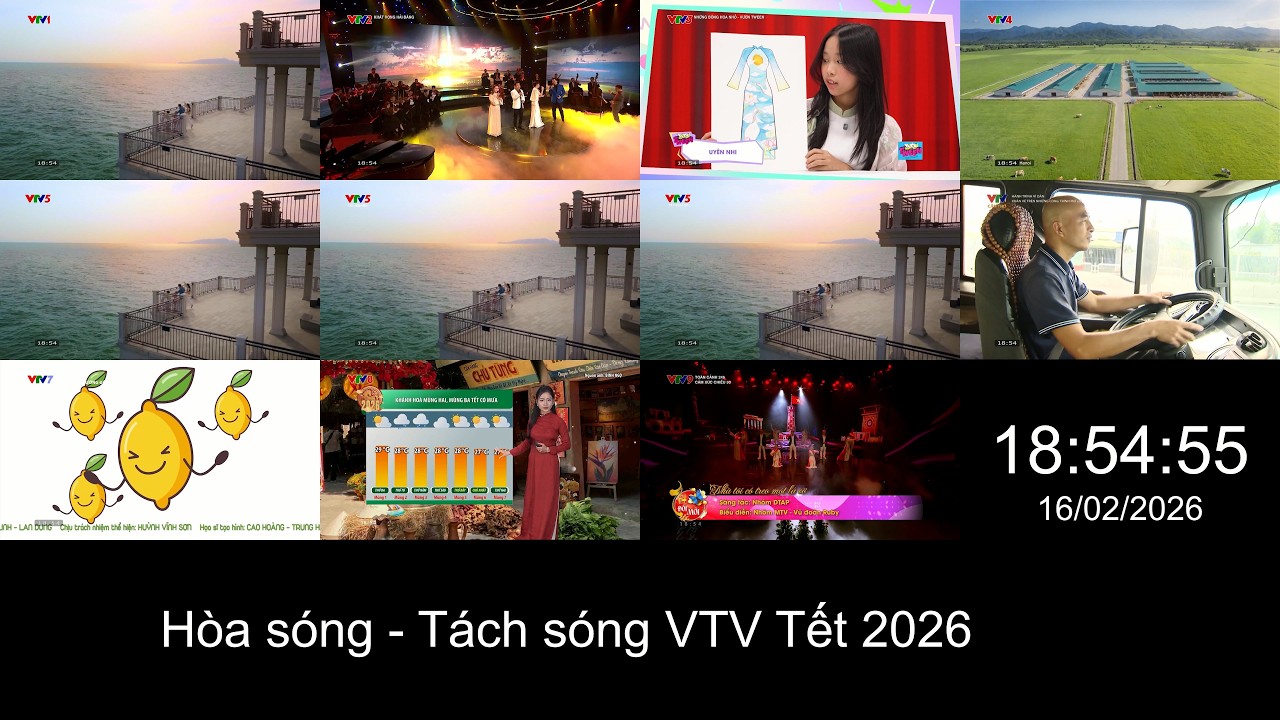 Hòa sóng - tách sóng VTV Tết 2026