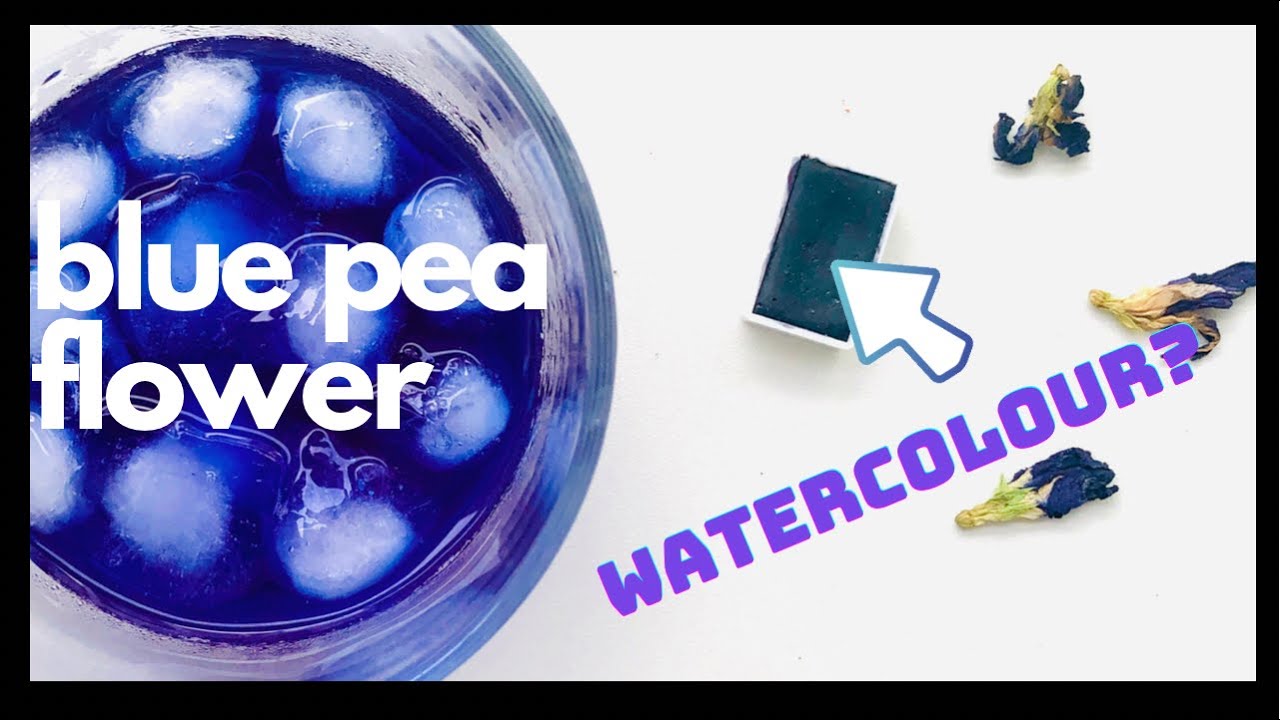 Natural pigment handmade watercolour paint from Wild Dot