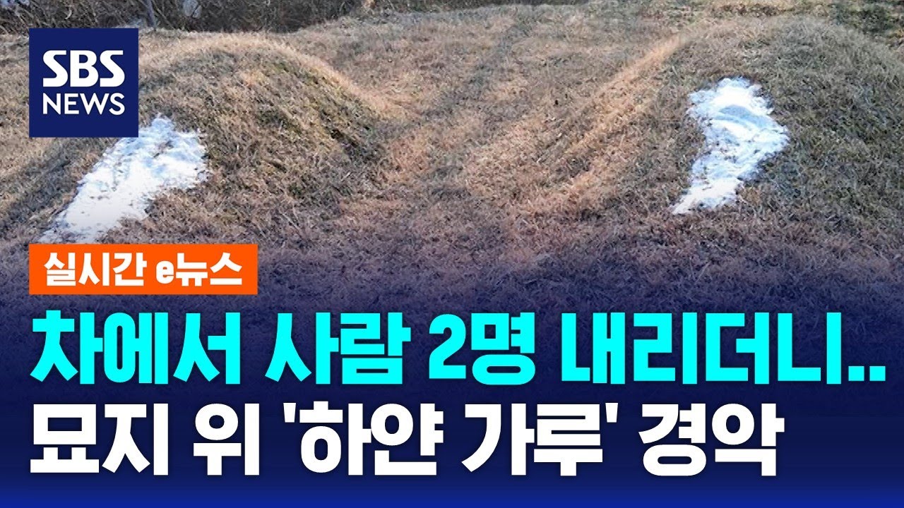 묘지들 위 하얀 가루에 '경악'…포대째 들고와 '탈탈' / SBS / 실시간 e뉴스