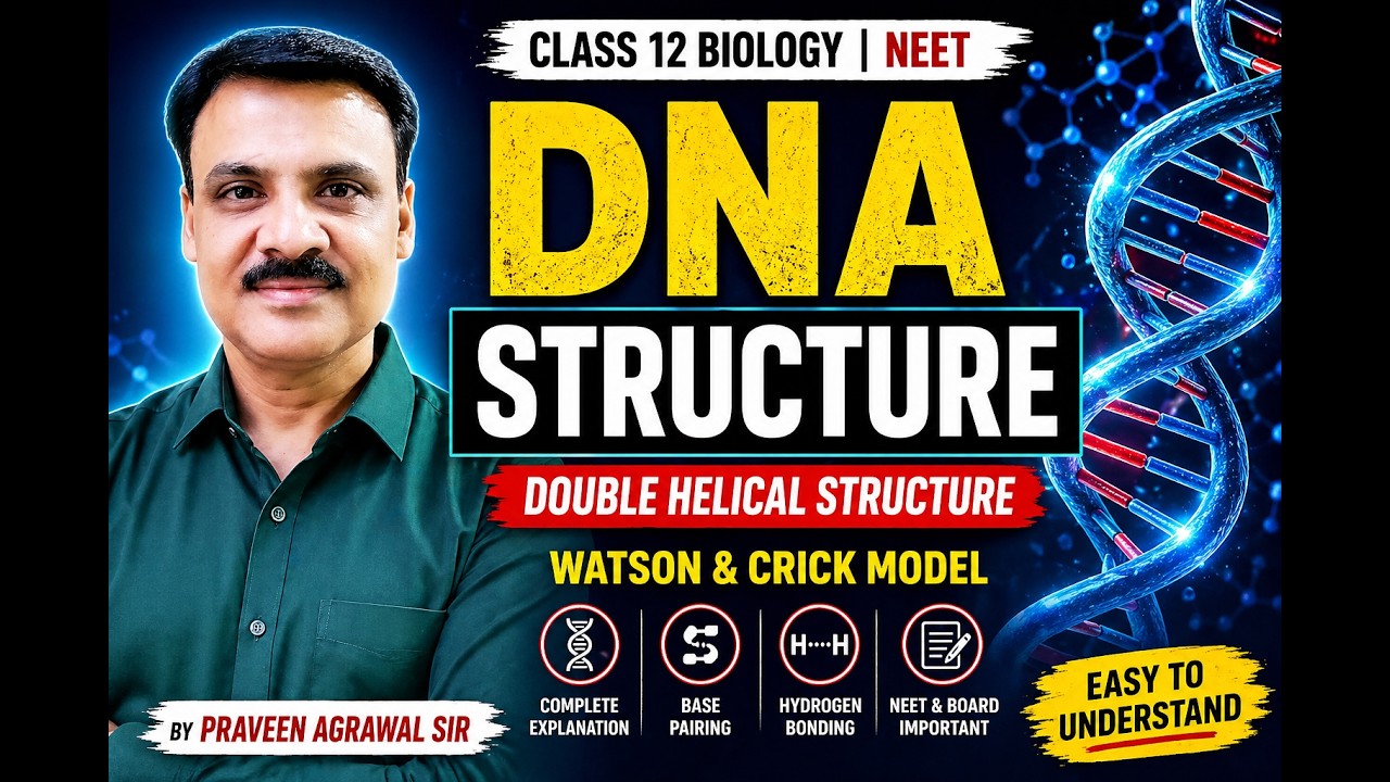 Structure of DNA Molecule (DNA double helix) : Watson Crick Model