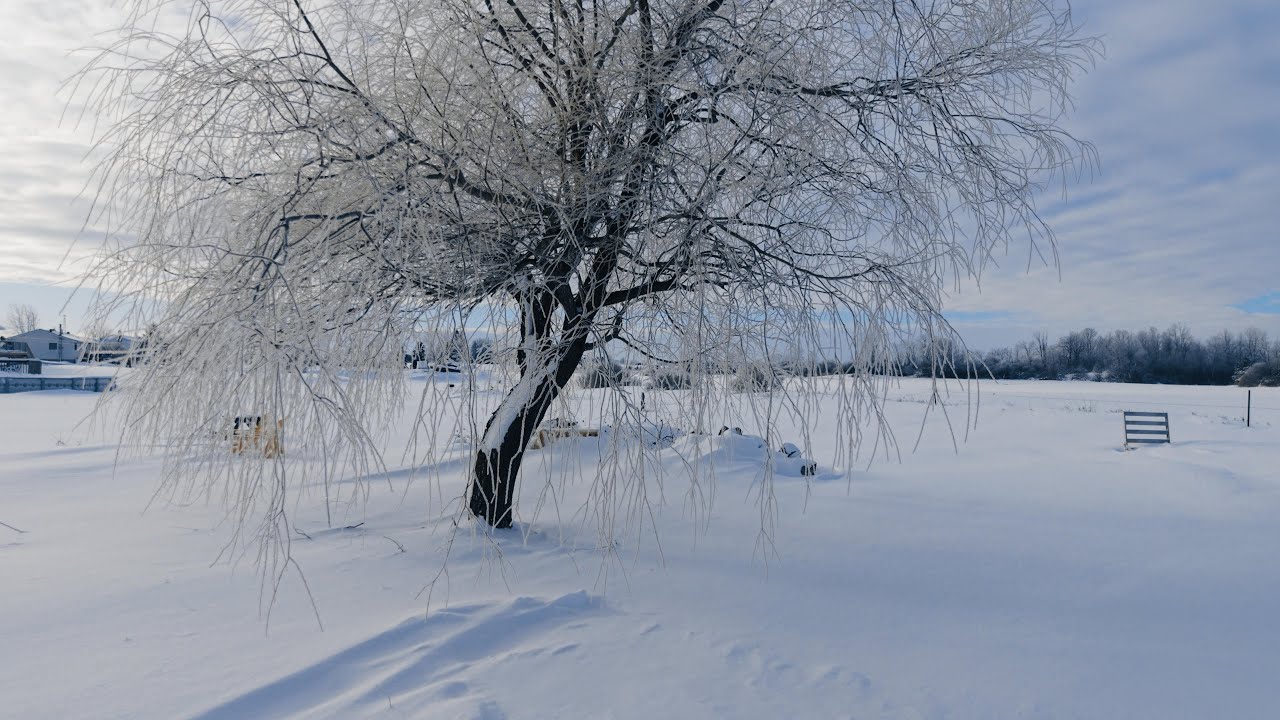 Frosty morning mission