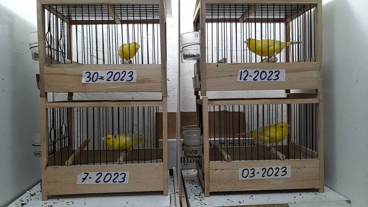 29 Kasım 2023