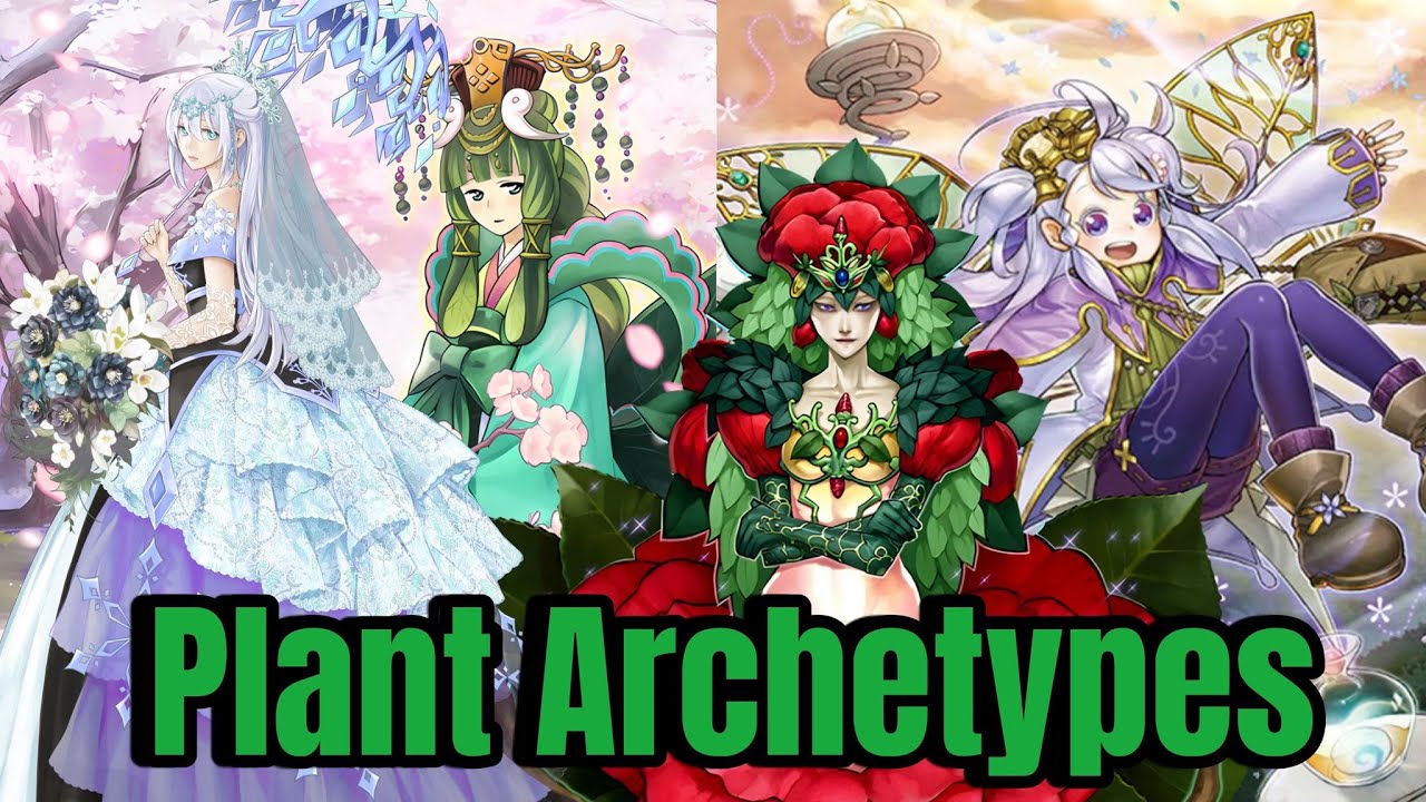 Plant Archetypes - Let's Explore Plants!