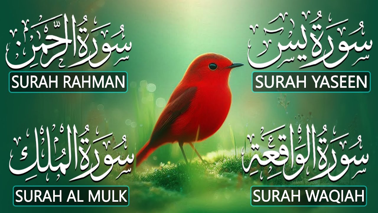 The Best Recitation Surah Yaseen Yasin  Surah Rahman  Surah Waqiah  Surah Mulk | By Alaa Aqel