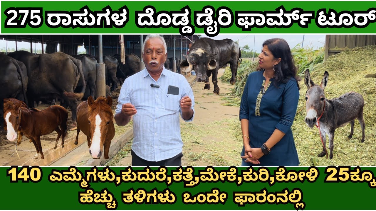 140ಎಮ್ಮೆಗಳು,ಕುದುರೆ,ಕತ್ತೆ,ಮೇಕೆ,ಕುರಿ,ಕೋಳಿ 25ಕ್ಕೂ ಹೆಚ್ಚುತಳಿಗಳು ಒಂದೇ ಫಾರಂನಲ್ಲಿI PART 2 I DAIRY FARMING