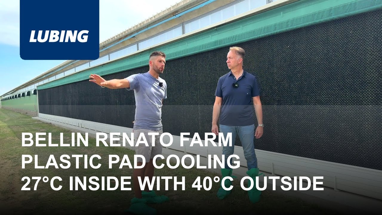 Bellin Roberto Farm - Plastic Pad Cooling - LUBING