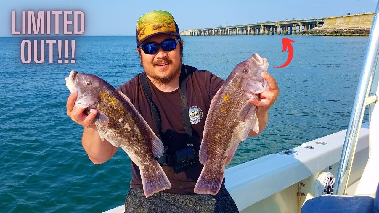 Chesapeake Bay Bridge Tautog! (CBBT)