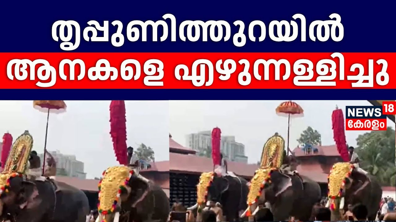 മാർഗനിർദേശങ്ങൾ പാലിച്ച് Tripunithuraയിൽ ആനകളെ എഴുന്നള്ളിച്ചു | Elephant Parading At Kerala Temple