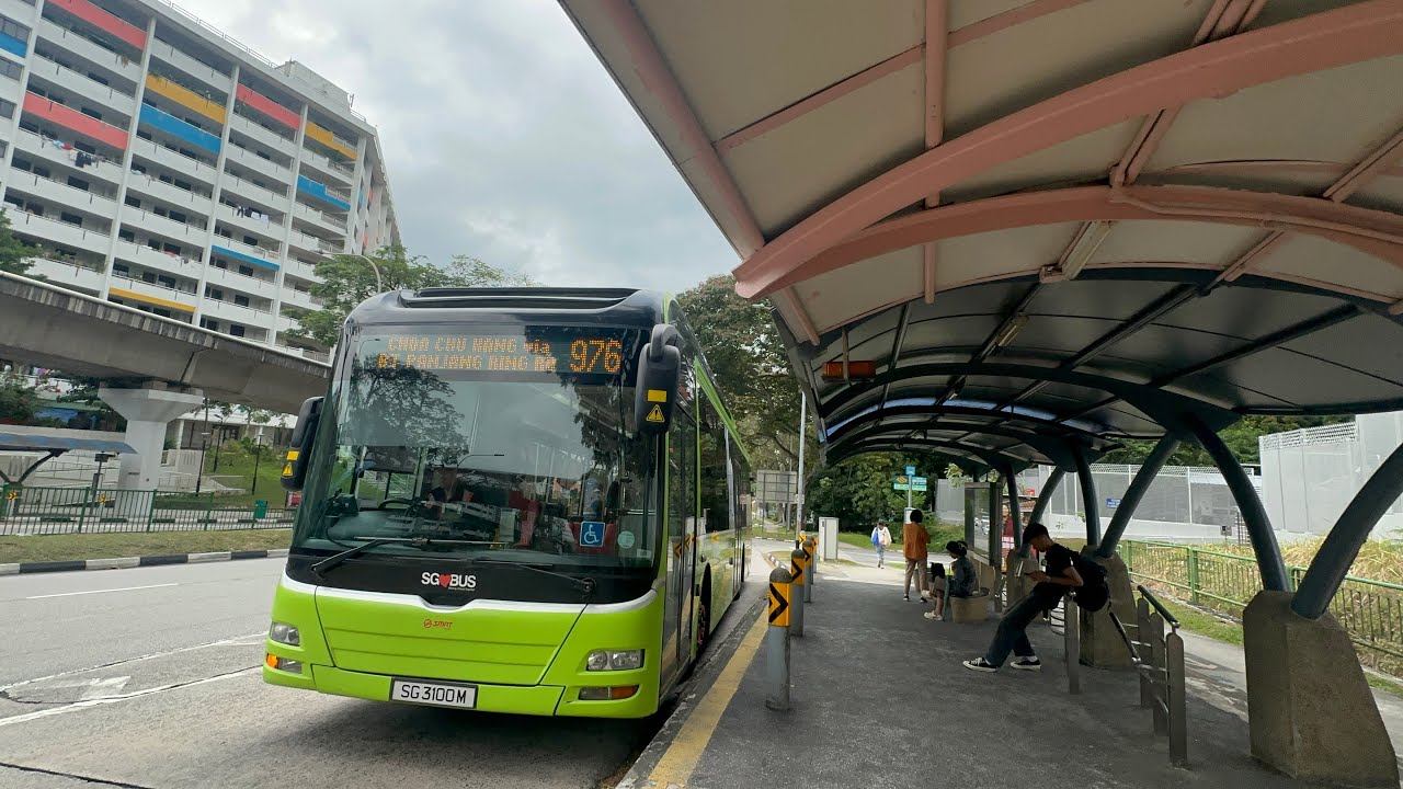 MRTravels on a Bus: SG3100M on Service 976