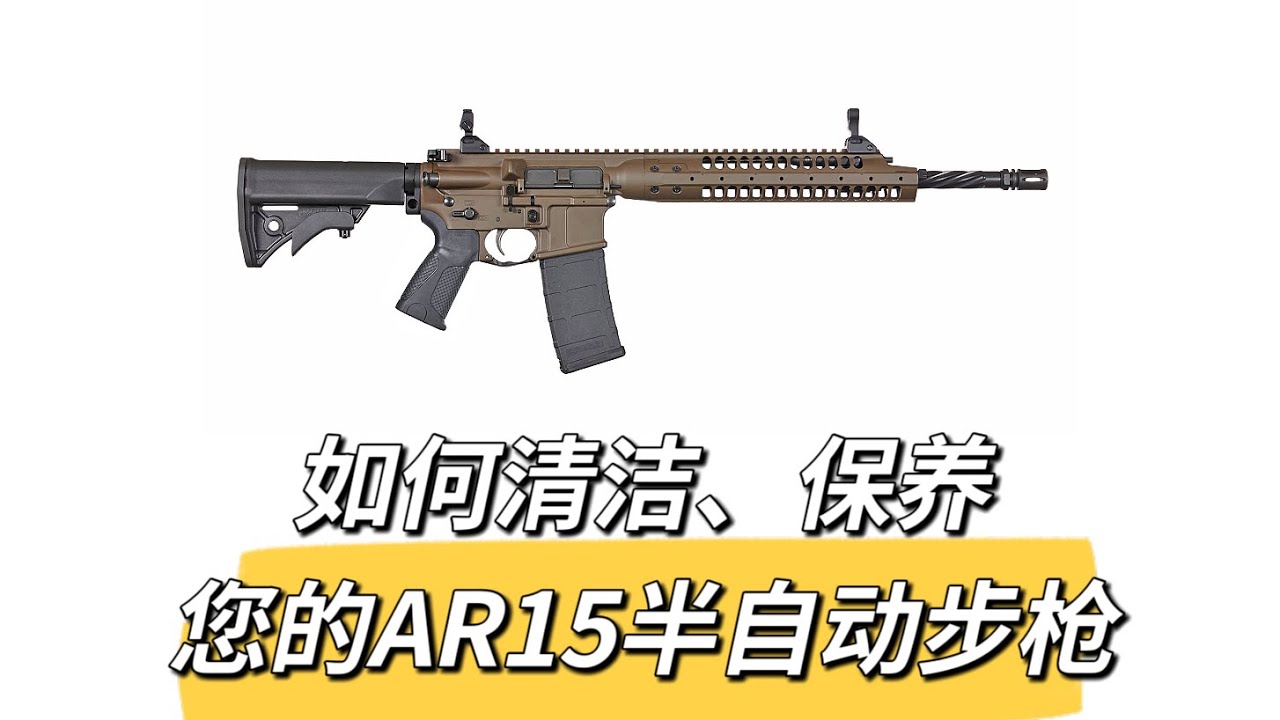 【王老师聊枪】AR15半自动步枪（二）AR10/15的清洁和保养 How to clean and maintain your AR10/15