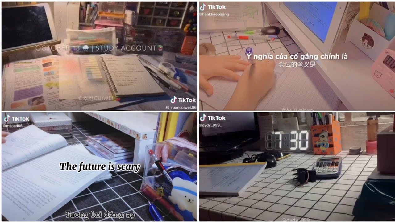 #40 Study Account | Động lực học tập | Tik Tok Việt Nam