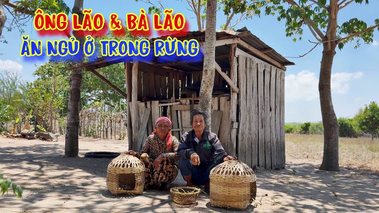 ÔNG BÀ lão đáng thương, ăn ngủ ở trong rừng, có gì ăn nấy, bữa đói BỮA NO - tập 1369