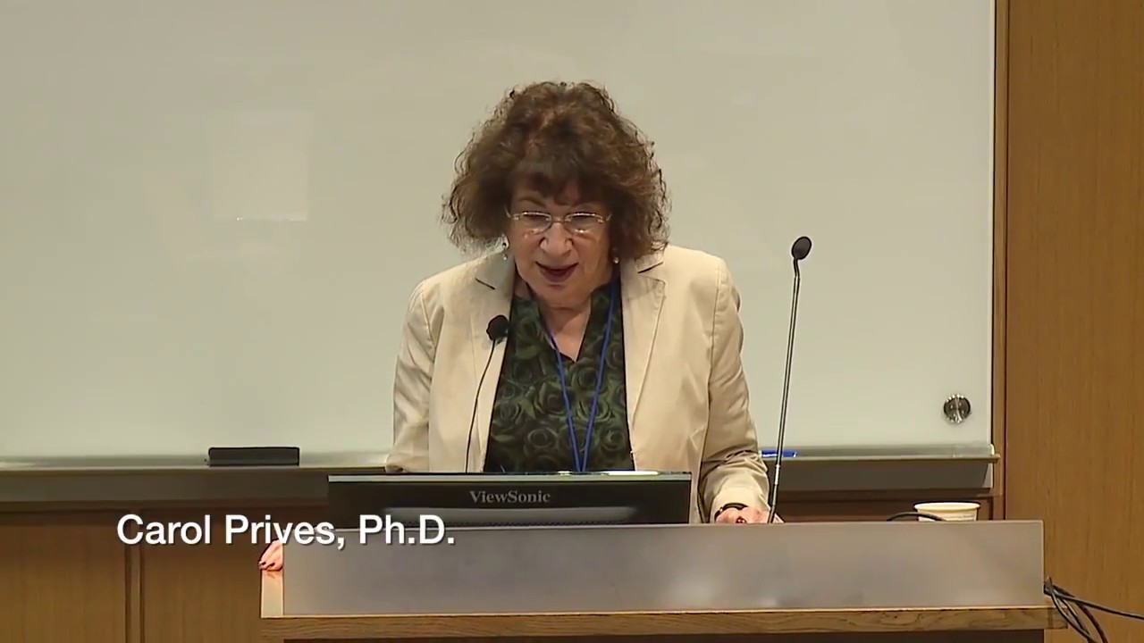 JCB-JEM Symposium: Carol Prives - Travels with p53 and Mdm2 – and Some Surprises Along the Way