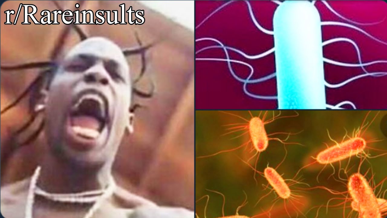 r/Rareinsults | He looks like bacteria