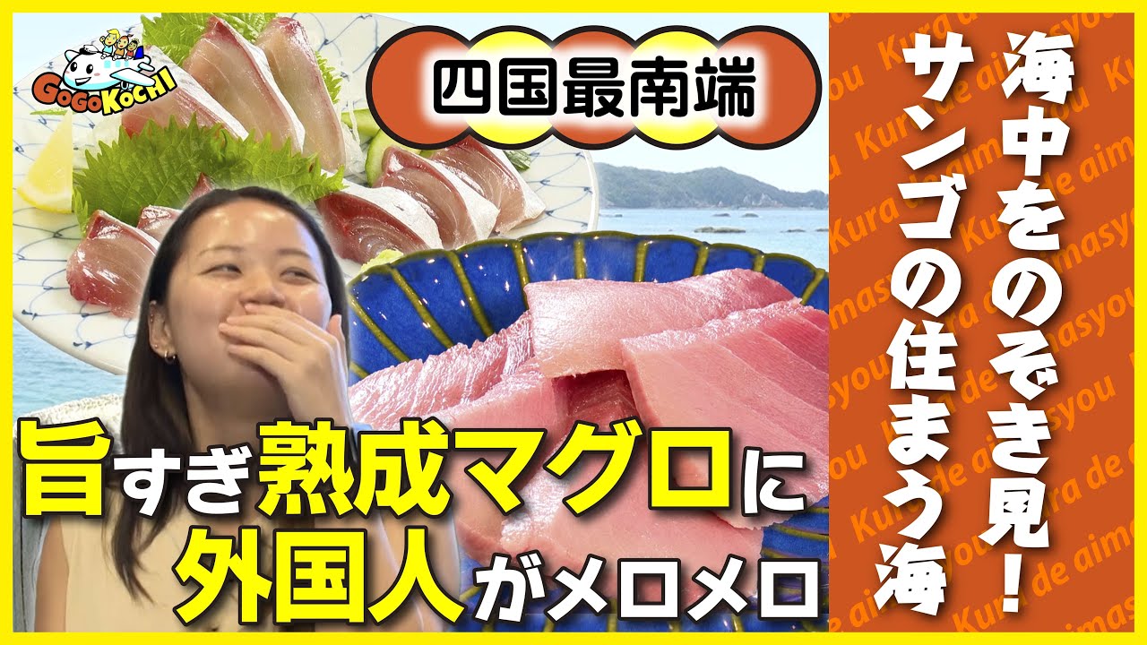 【四国最南端一人旅】熟成マグロにメロメロ！サンゴの住まう海の中をのぞいてみたら【GOGO KOCHI】