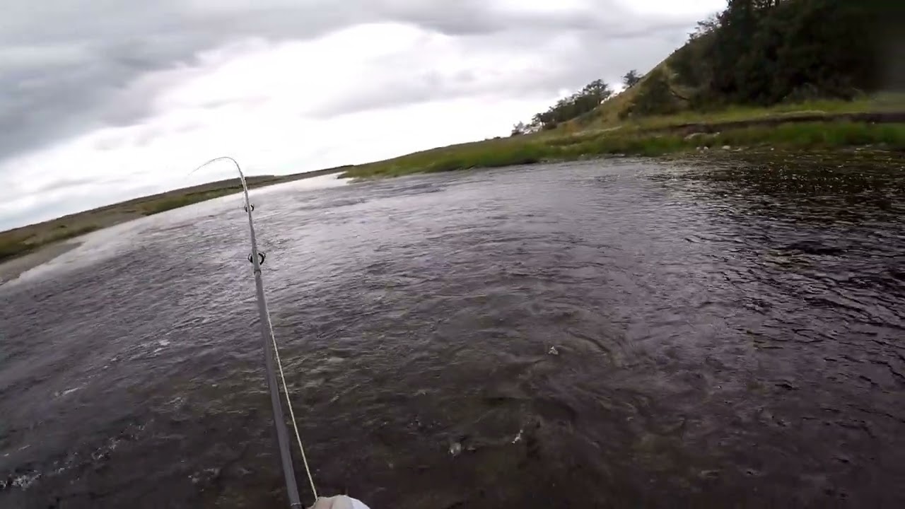 Captura en Río Penitente | Pesca con Mosca – Enero 2026