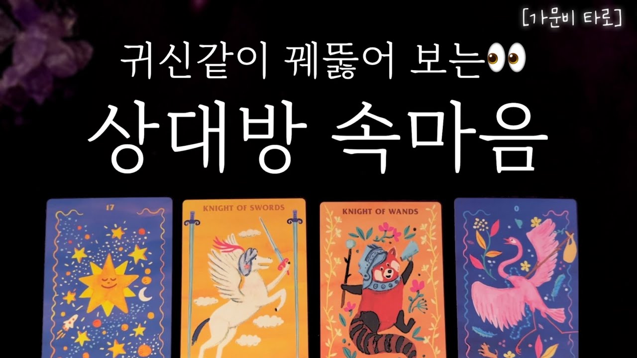 꿰뚫어 보는 상대방 속마음👀(투시 타로)